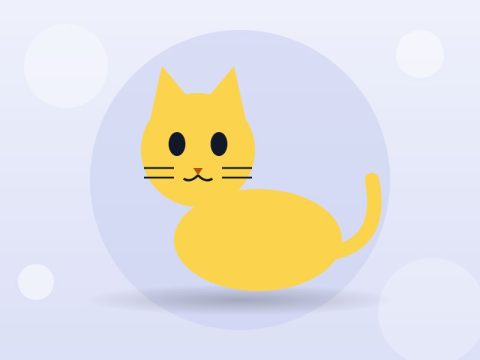 Persian kitten, doll face, litter trained