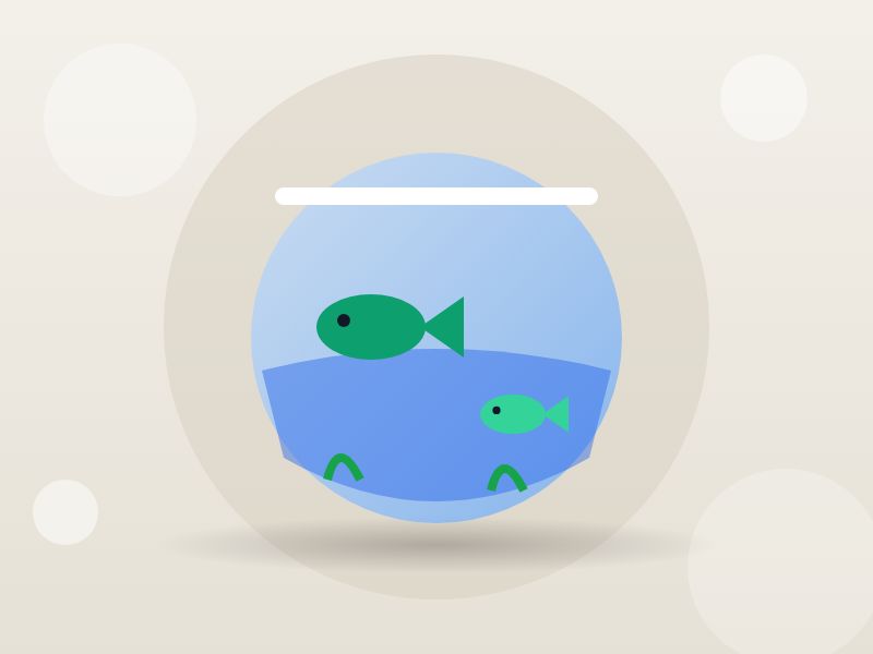 3 ft aquarium with filter and fishes — photo 3